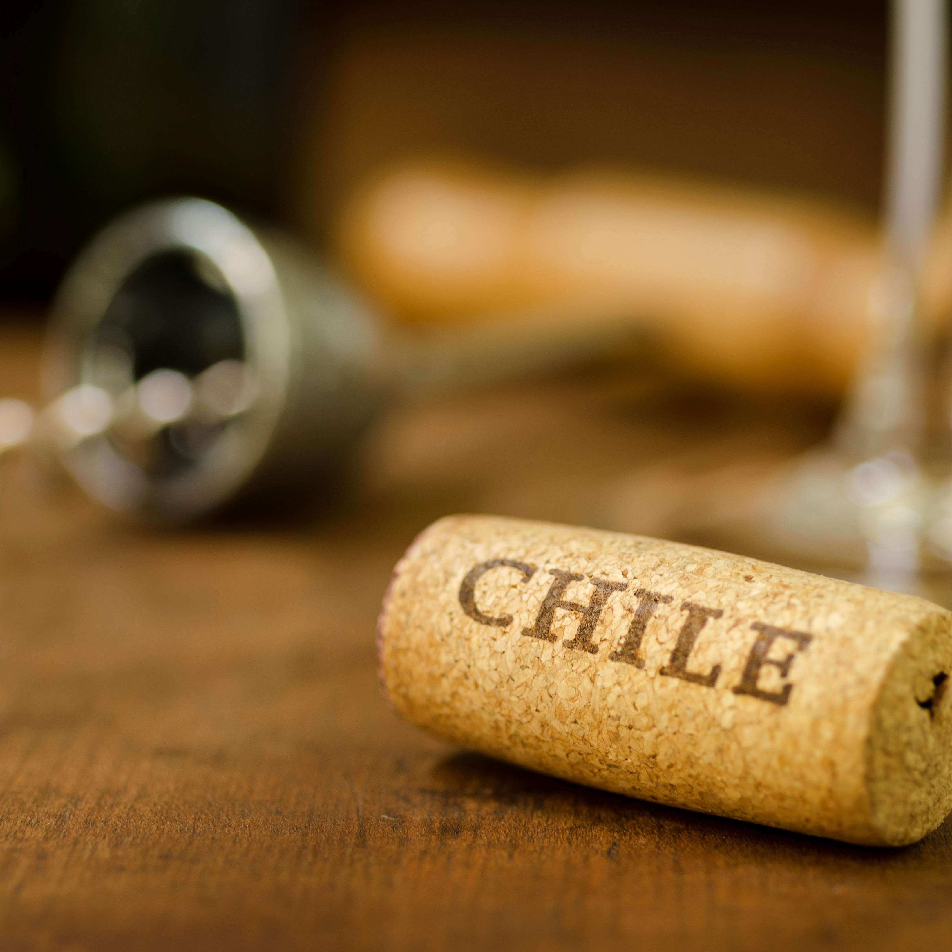 cepas de vinos en chile